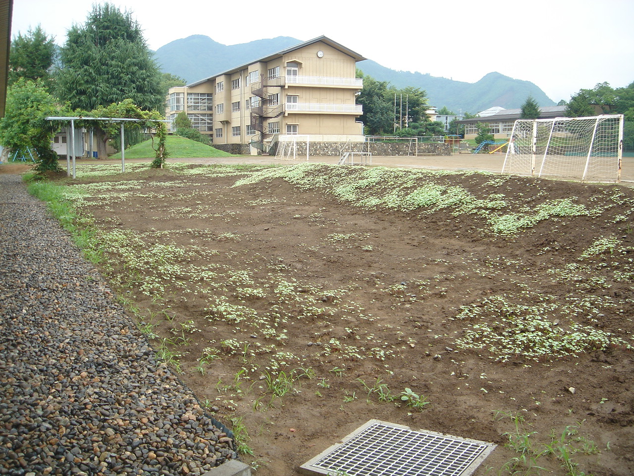 最も硬かった場所はさすがに厳しい…？